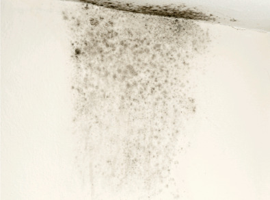 광양 주택 아파트 공장 결로검사 결로공사 시공업체